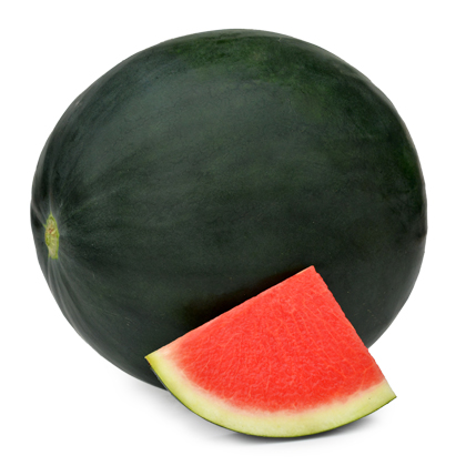 ALL_catalog_25L01_QibdP3UhnB