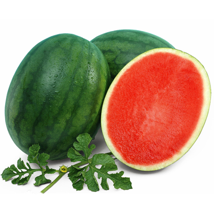 ALL_catalog_25L01_kd526wjGW5