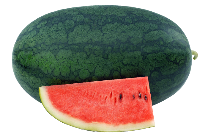 ALL_catalog_25L02_7GFp81Y0as