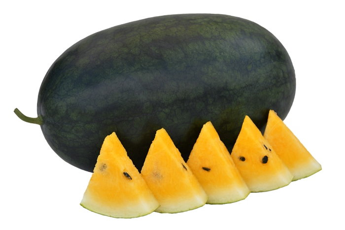 ALL_catalog_25L02_Ch42n22WDc