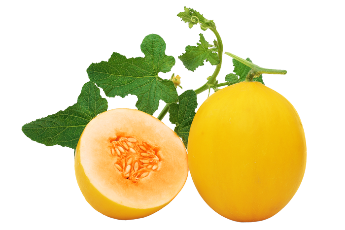 ALL_catalog_25L02_E4OosFEsSm