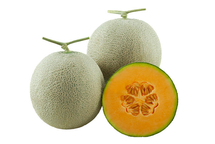 ALL_catalog_25L02_Exqlj1sR4y