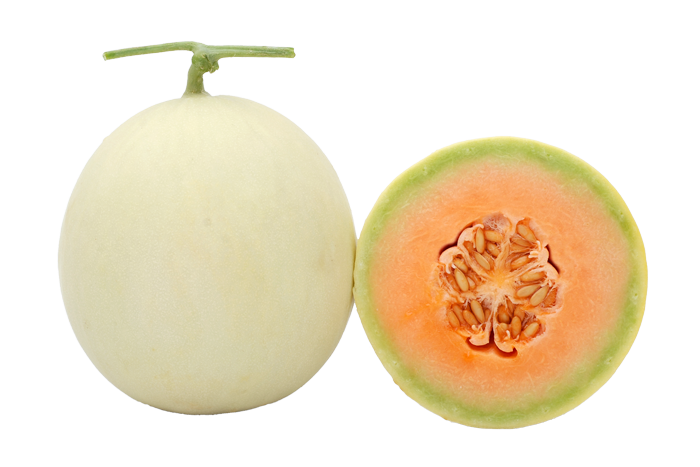 ALL_catalog_25L02_GAsRqTEOrd