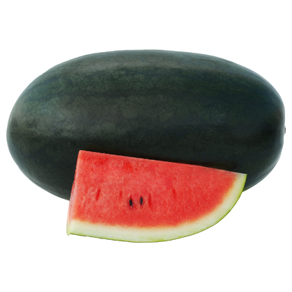 ALL_catalog_25L02_Lz2KUkASIf