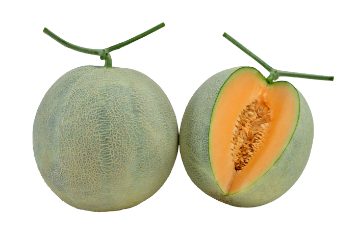 ALL_catalog_25L02_Oct8fEndZj