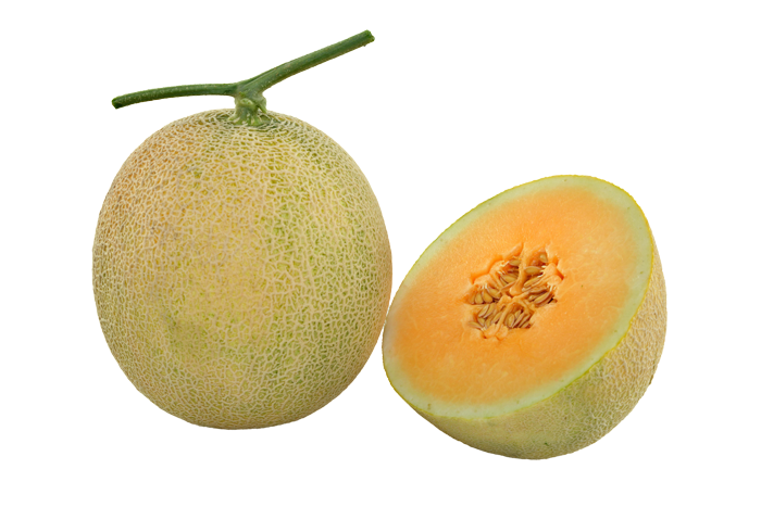 ALL_catalog_25L02_PJHtr9rtAp