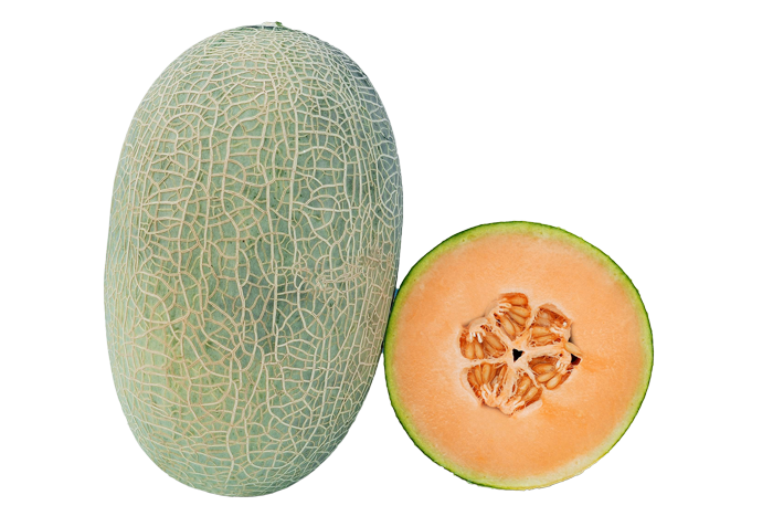 ALL_catalog_25L02_RDDYvdrape