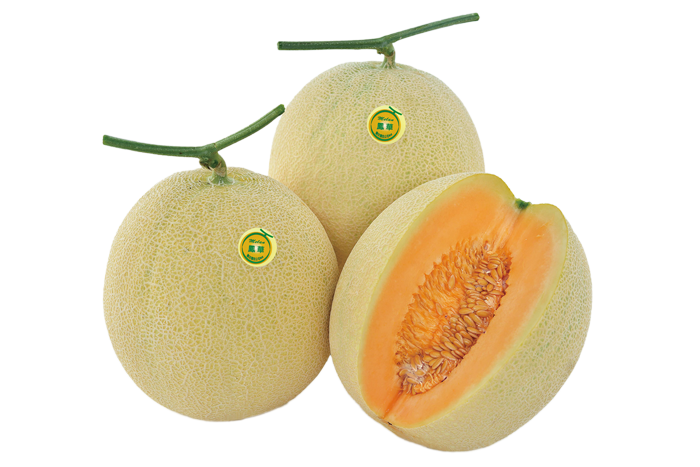 ALL_catalog_25L02_TINA4LrWnd