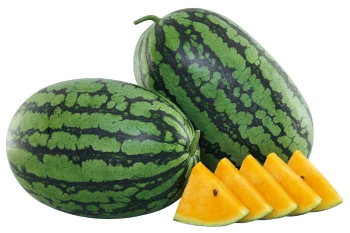 ALL_catalog_25L02_eEc1kOvqZa