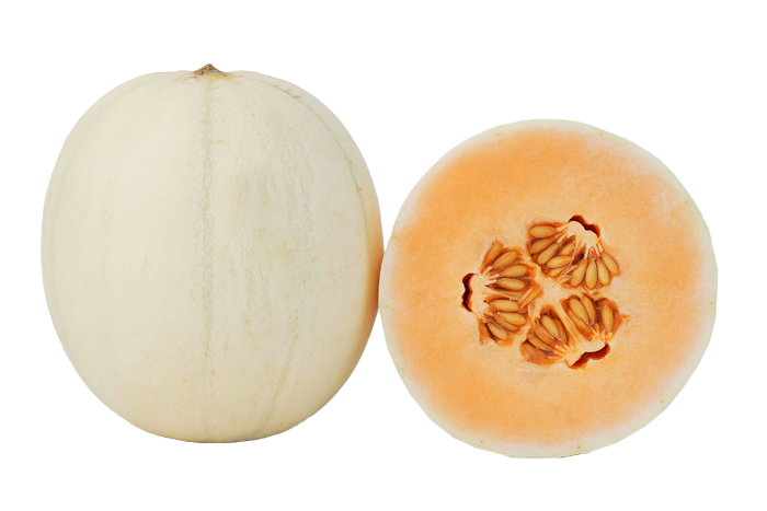 ALL_catalog_25L02_hy3CalLNWq