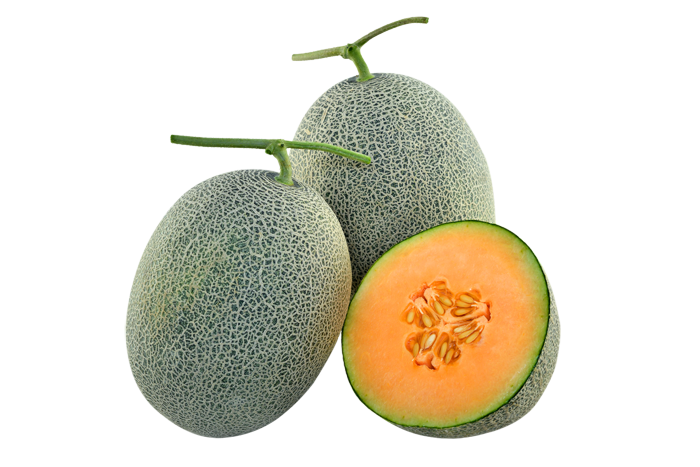 ALL_catalog_25L02_la7caU3oD5