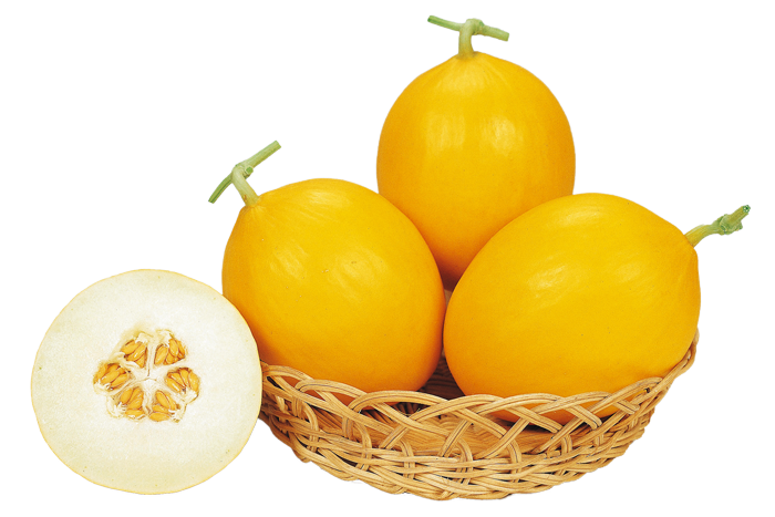 ALL_catalog_25L02_vJQlY2V3jY