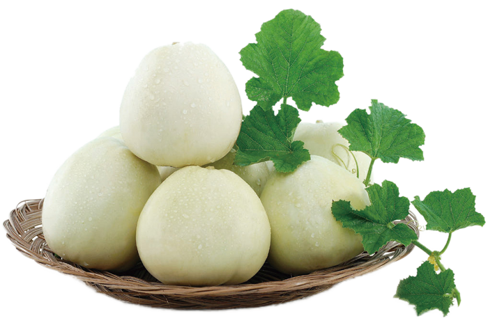 ALL_catalog_25L02_yFSOaiPwlN