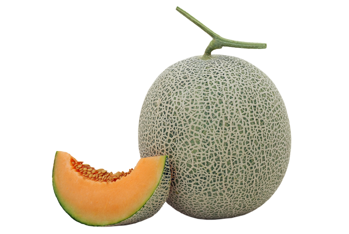 ALL_catalog_25L03_0asLkyr237