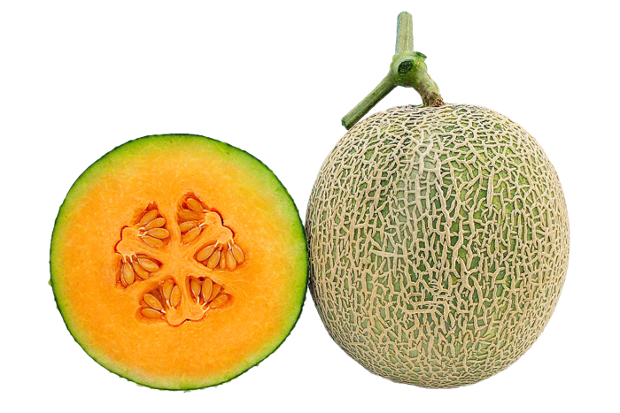 ALL_catalog_25L03_OZvHGojhKp