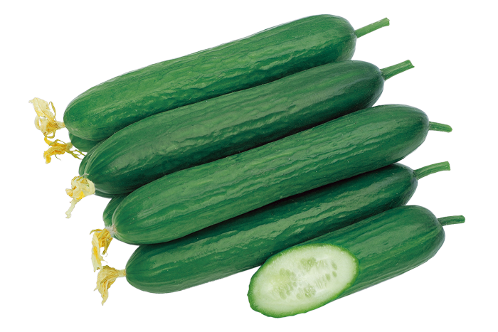 ALL_catalog_25L03_REpcIPSDPs