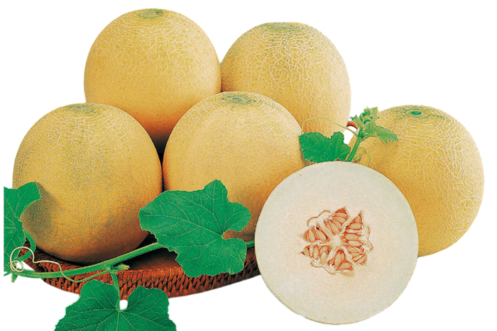 ALL_catalog_25L03_Y1VtRVOLEc