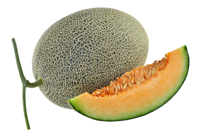 ALL_catalog_25L03_ZZCZQp0IVM