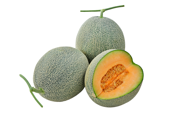 ALL_catalog_25L03_fyADv7baW9