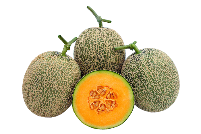 ALL_catalog_25L03_m8E4SeFxb6