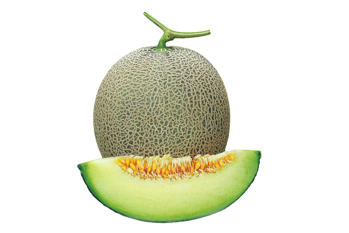 ALL_catalog_25L03_yJ7WyYsrKV