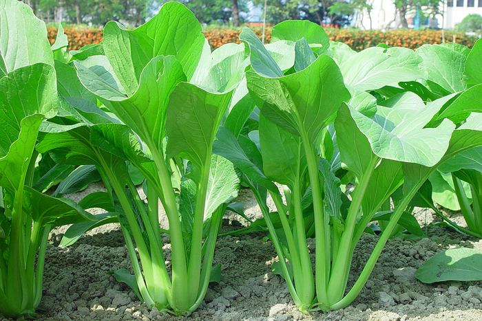 ALL_catalog_25L04_0h2koMccYI