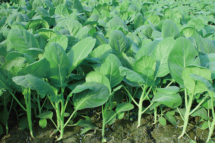 ALL_catalog_25L04_1EIxAPnqMV