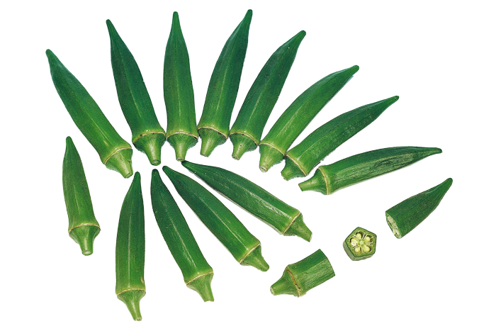 ALL_catalog_25L04_3fIMZq5oAX