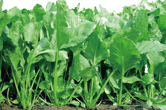 ALL_catalog_25L04_4vDT6j2vX8