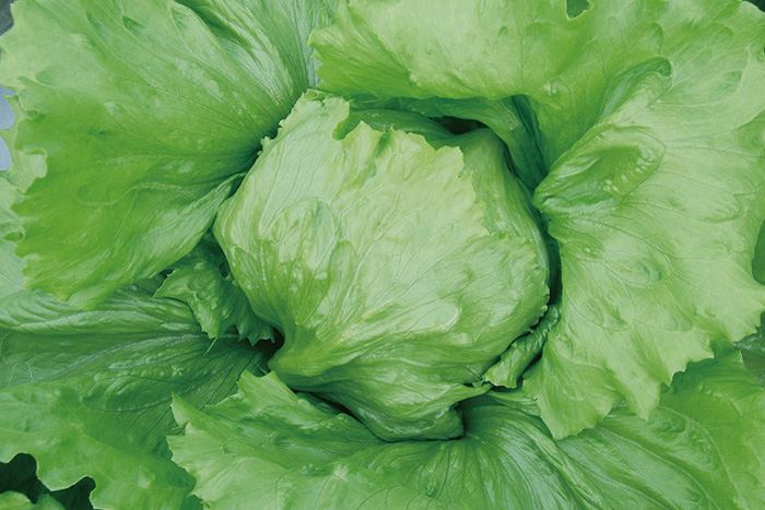 ALL_catalog_25L04_4z147KjFPx