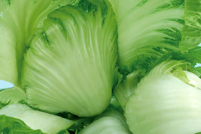 ALL_catalog_25L04_6KK6tJFp8i