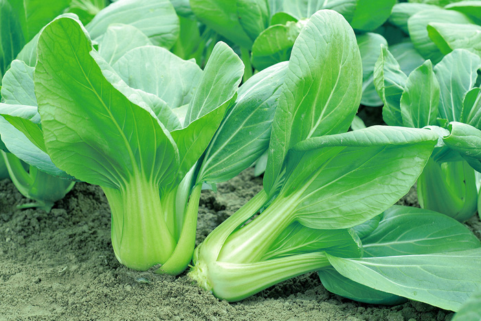 ALL_catalog_25L04_7HZ7Xt9f1c