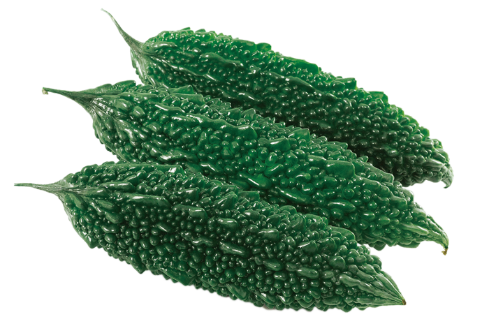 ALL_catalog_25L04_96LZKn9fw6