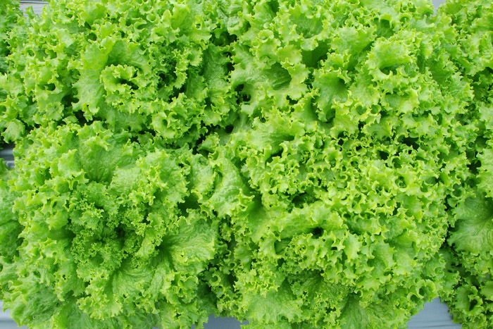 ALL_catalog_25L04_9O7iyXnCsI