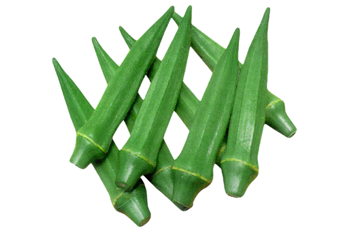 ALL_catalog_25L04_9TxxrbndEL