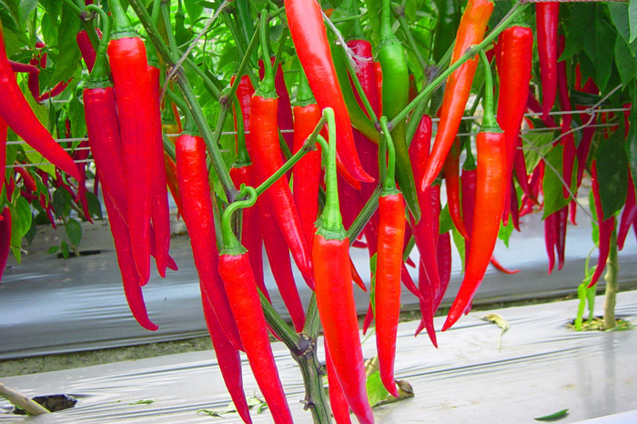 ALL_catalog_25L04_B4Sgnad8A1