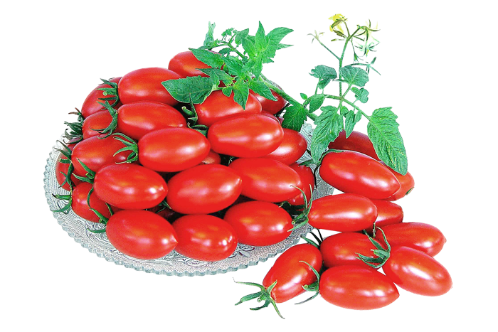 ALL_catalog_25L04_DaQkBYl5dR