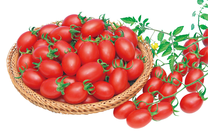 ALL_catalog_25L04_HiR9Xv3jbL