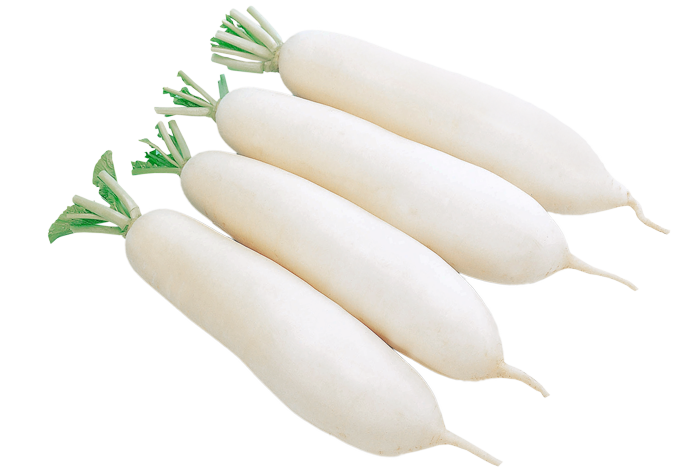 ALL_catalog_25L04_HpMzQ2QTw2