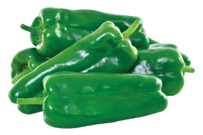 ALL_catalog_25L04_KVE2TqwIuf