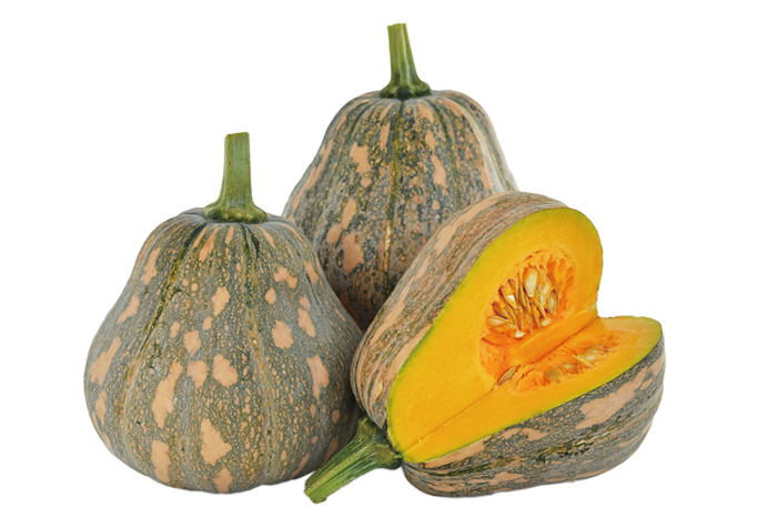 ALL_catalog_25L04_LdzDAlshS5