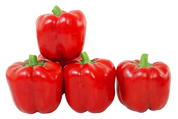 ALL_catalog_25L04_NCRQXHDWNV