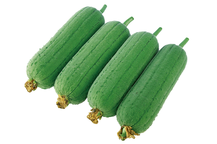 ALL_catalog_25L04_O49I9JBWVH