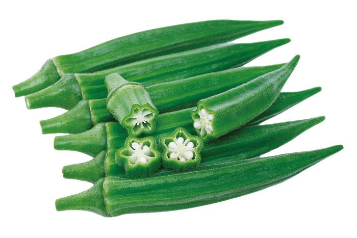 ALL_catalog_25L04_PRjEAcpHeR