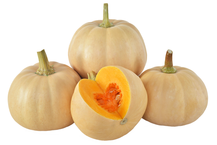 ALL_catalog_25L04_PTld64UYrH