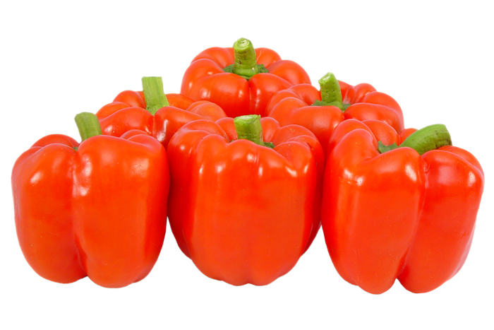 ALL_catalog_25L04_RdGkxxGqwf