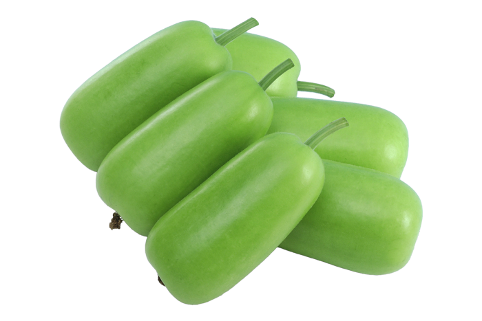 ALL_catalog_25L04_TNPwROQucy