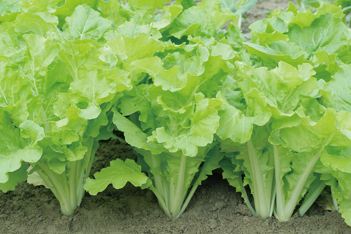 ALL_catalog_25L04_ZxOTWjuM13