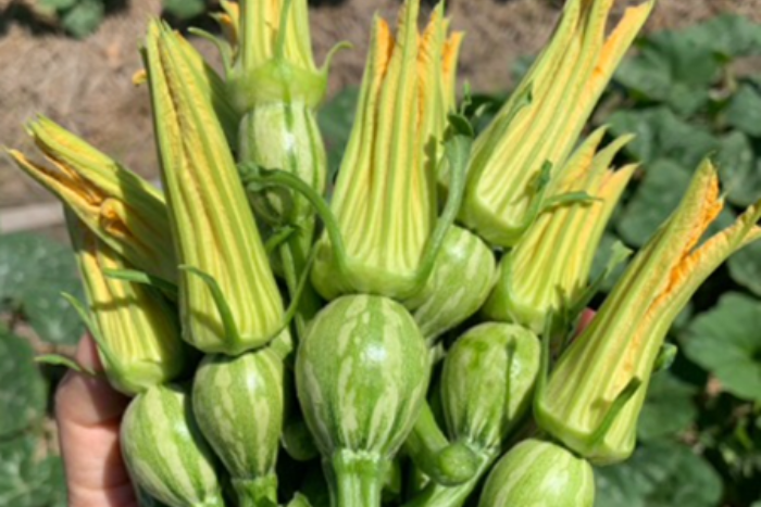 ALL_catalog_25L04_a0pMXUz8Iq