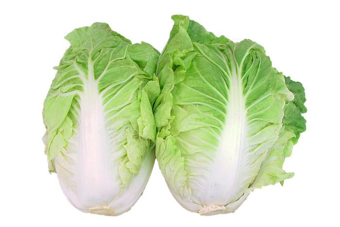 ALL_catalog_25L04_apOfN3c5bU